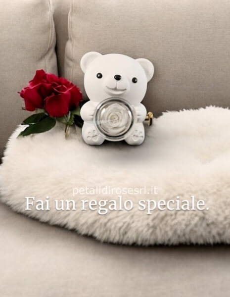 Orsacchiotto Bianco Rosa eterna bianca