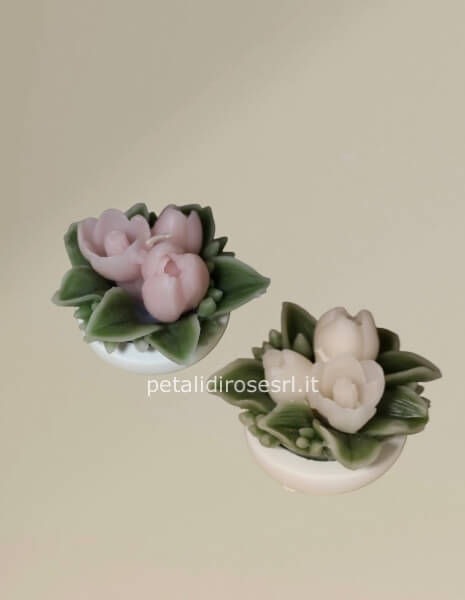 Mini tulipani