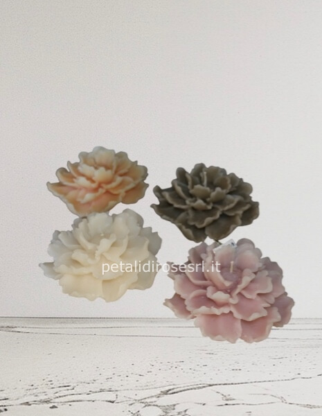 Dalia Candela 1 pezzo