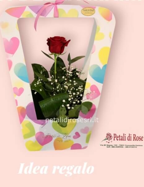 ROSA ROSSA CONFEZIONE 2026