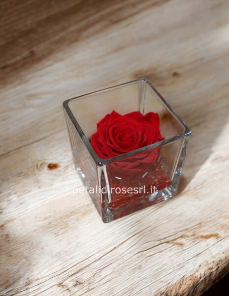 Rosa Eterna in Vetro